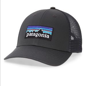 Patagonia Trucker Hat
